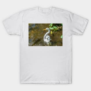 Reflections of a Great egret T-Shirt